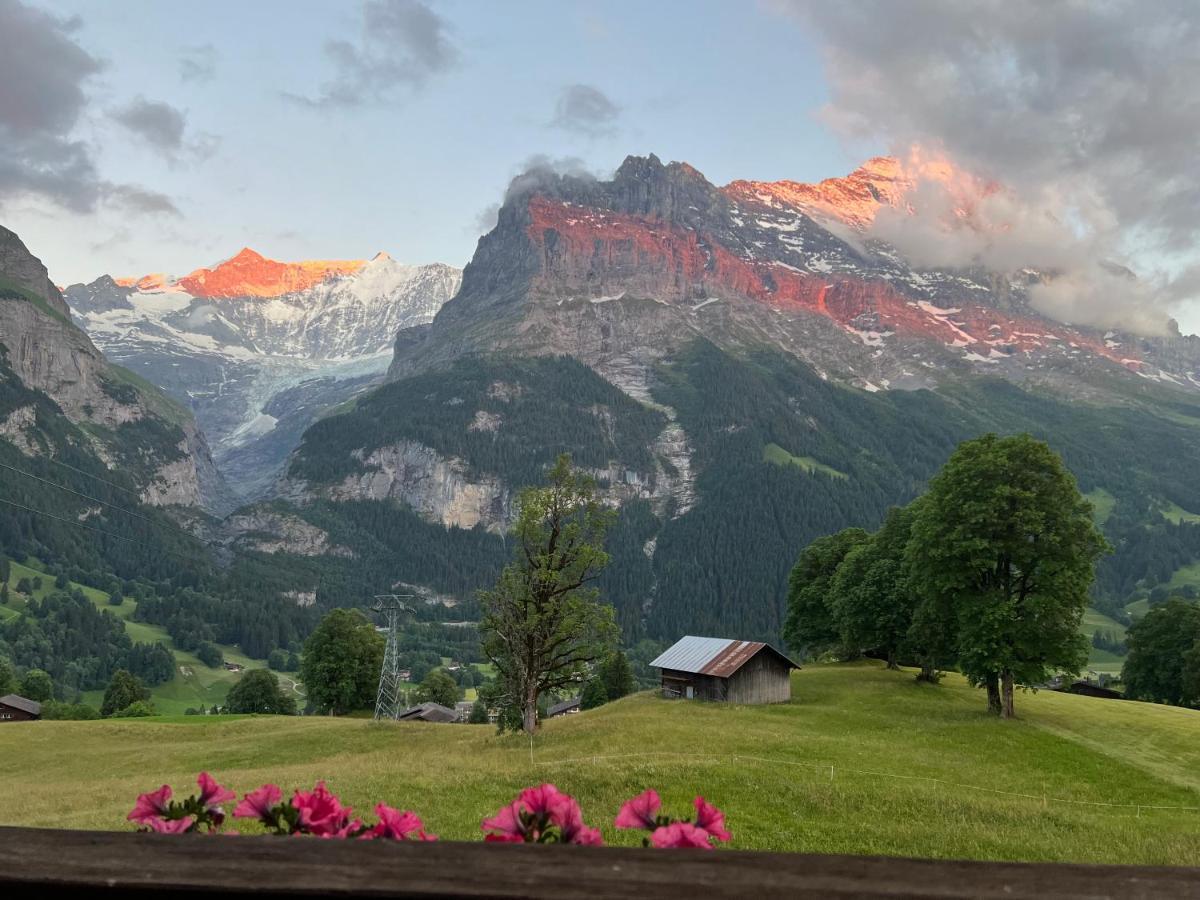 Hotel Bodmi Grindelwald Exterior photo