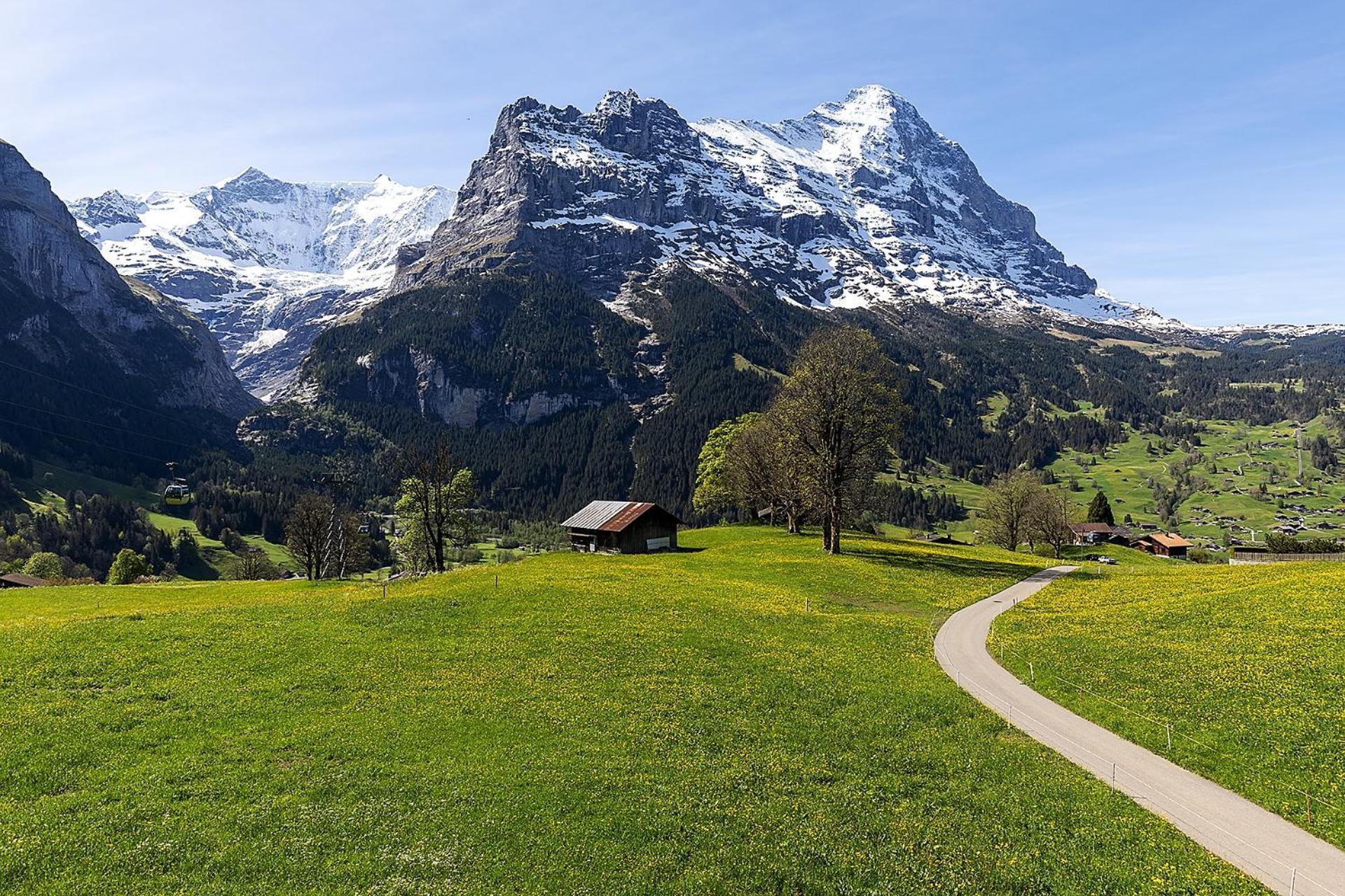 Hotel Bodmi Grindelwald Exterior photo